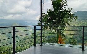 Aloft View